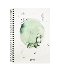 Picture of Kołonotes B5/68K Sarna