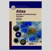 polish book : Atlas grzy... - Paweł Krzyściak, Magdalena Skóra, Anna B. Macura