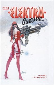 Picture of Elektra - Assassin