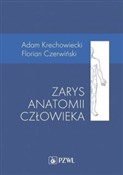 Zarys anat... - Adam Krechowiecki, Florian Czerwiński - Ksiegarnia w UK