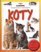 polish book : Koty - Agnieszka Talarczyk-Kwietniewska