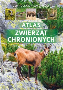 Obrazek Atlas zwierząt chronionych 250 polskich gatunków