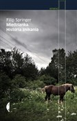 Polska książka : Miedzianka... - Filip Springer