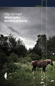 Picture of Miedzianka Historia znikania