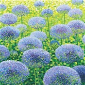 Karnet z k... - Ksiegarnia w UK