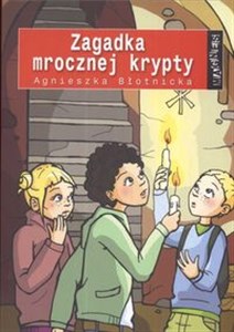 Picture of Magnes Zagadka mrocznej krypty