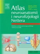 Atlas neur... - David L. Felten, Frank H. Józefowicz -  Polish Bookstore 