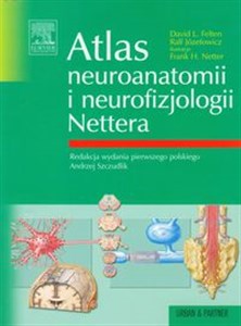 Obrazek Atlas neuroanatomii i neurofizjologii Nettera