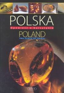 Obrazek Polska Opowieść o bursztynie