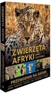 Picture of Zwierzęta Afryki Przewodnik na safari