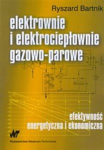 Picture of Elektrownie i elektrociepłownie gazowo parowe