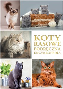 Picture of Koty rasowe Podręczna Encyklopedia