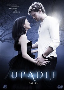 Obrazek Upadli (booklet DVD)