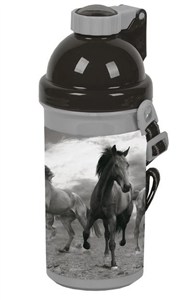 Picture of Bidon Horse