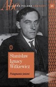 Pożegnanie... - Stanisław Ignacy Witkiewicz -  books from Poland