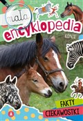 Konie. Mał... - Opracowanie zbiorowe -  Polish Bookstore 