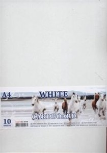 Picture of Karton biały A4 10 arkuszy 230g/m2