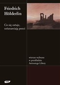 polish book : Co się ost... - Friedrich Hölderlin
