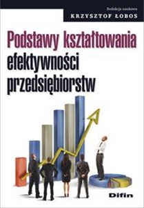 Obrazek Podstawy kształtowania efektywności przedsiębiorstw