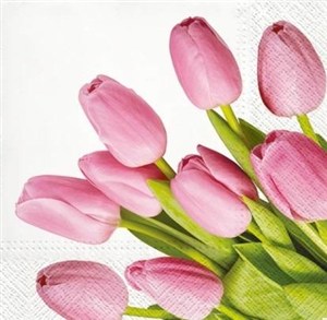 Obrazek Serwetki Tulipany 33x33cm 20szt