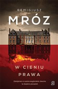 W cieniu p... - Remigiusz Mróz -  foreign books in polish 