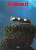Poland - Adam Bujak -  books in polish 