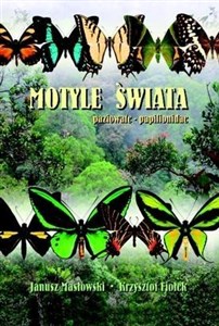 Obrazek Motyle Świata. Paziowate - Papilionidae TW