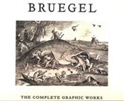 Bruegel: T... - Maarten Bassens, Lieve Watteeuw -  Polish Bookstore 