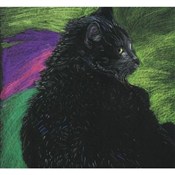 Polska książka : Notes Kot ...