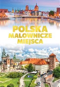 Polska Mal... - Opracowanie Zbiorowe -  foreign books in polish 