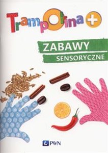 Picture of Trampolina+ Zabawy sensoryczne