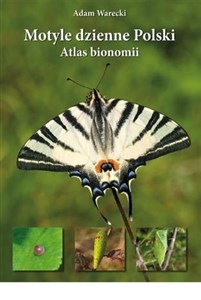 Picture of Motyle dzienne Polski. Atlas bionomii TW w.2021