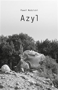 Picture of Azyl