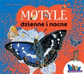 polish book : Motyle dzi... - Izabela Dziekańska