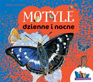 Picture of Motyle dzienne i nocne