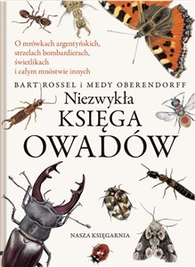 Picture of Niezwykła księga owadów