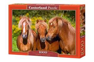 Picture of Puzzle 1000 Horse Friends