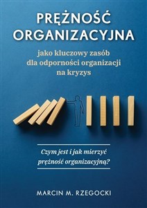 Picture of Prężność organizacyjna jako kluczowy zasób dla odporności organizacji na kryzys Czym jest i jak mierzyć prężność organizacyjną?