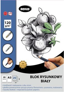 Obrazek Blok rysunkowy A3/20K biały Premium
