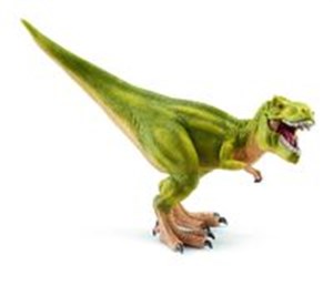 Picture of Tyrannosaurus Rex