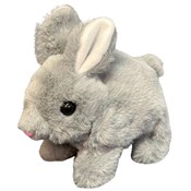 Maskotka Z... -  Książka z wysyłką do UK