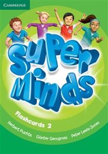 Picture of Super Minds 2 Flashcards