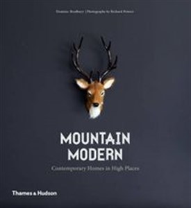 Picture of Mountain Modern