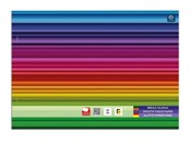 Polska książka : Bibuła gła...