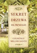 Sekret drz... - Courtney Miller Santo -  books in polish 