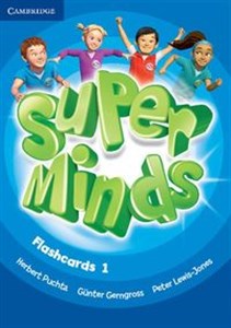 Picture of Super Minds 1 Flashcards