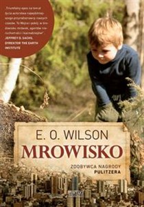Obrazek Mrowisko