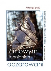 Obrazek Zimowym tchnieniem oczarowani