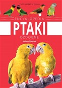 Encykloped... - Hubert Zientek -  Polish Bookstore 