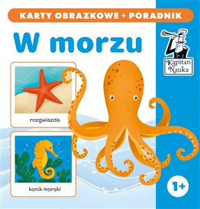 Obrazek Kapitan Nauka W morzu karty obrazkowe + poradnik W morzu (karty obrazkowe + poradnik)